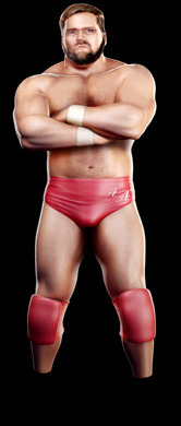 Arn Anderson