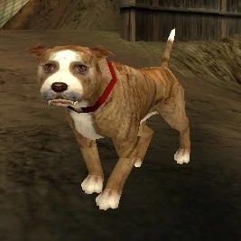 Champ the Dog