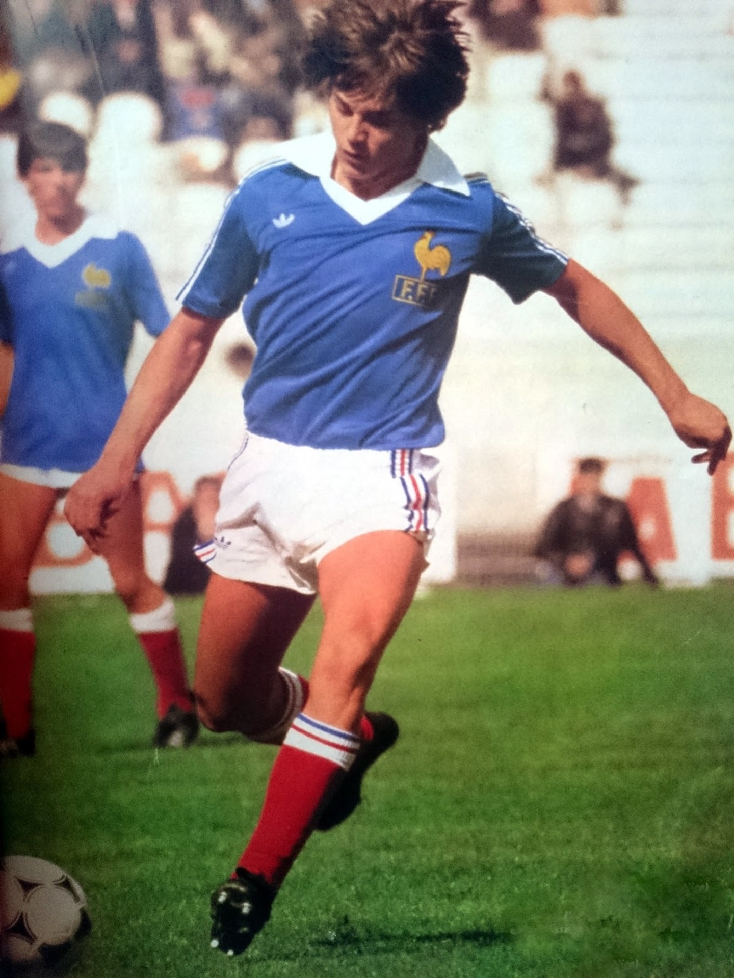 Daniel Bravo