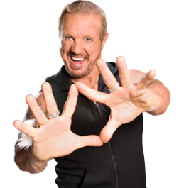 Diamond Dallas Page