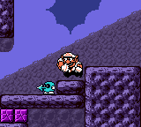 Wario