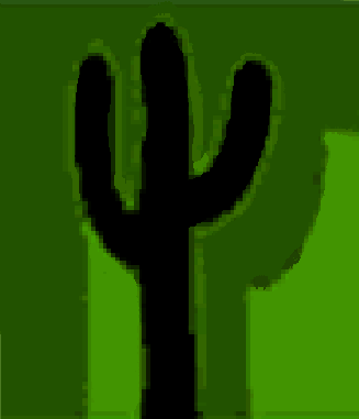 Black Cactus