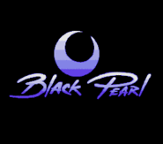 Black Pearl Software