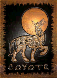Coyote Developments