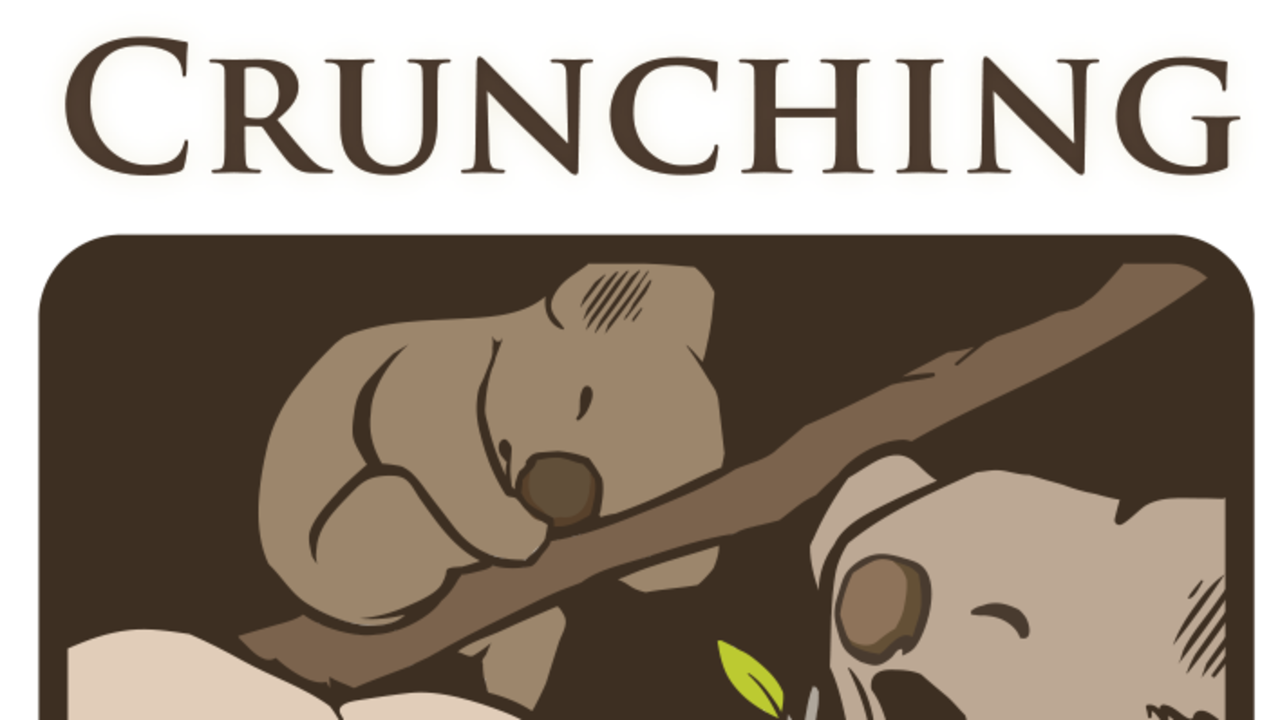Crunching Koalas