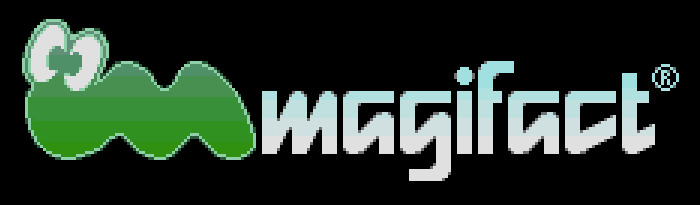 Magifact