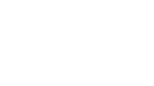 Massive Miniteam