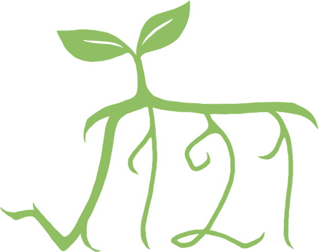 Root