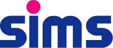 The Sims Studio