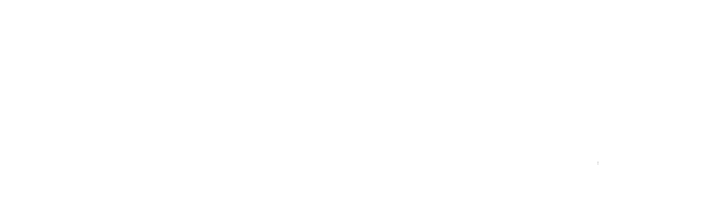Singularity Software