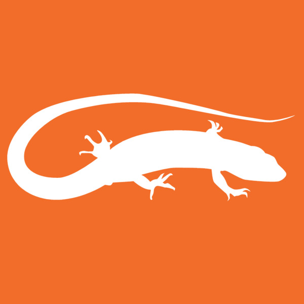 Space Lizard Studio