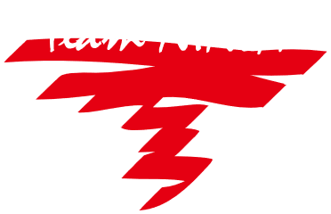 Team Ninja