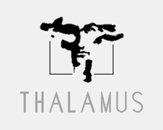 Thalamus