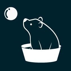 WashBear