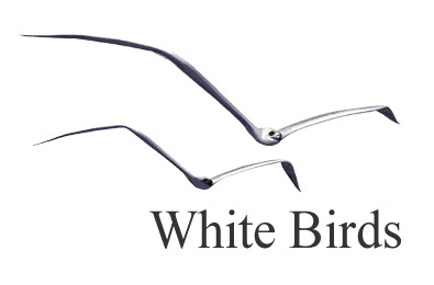White Birds Productions