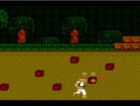 NES Screenshots