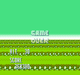 NES Screenshots