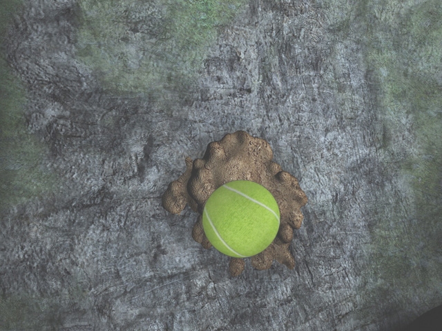 WII Screenshots