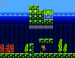 SMS Screenshots
