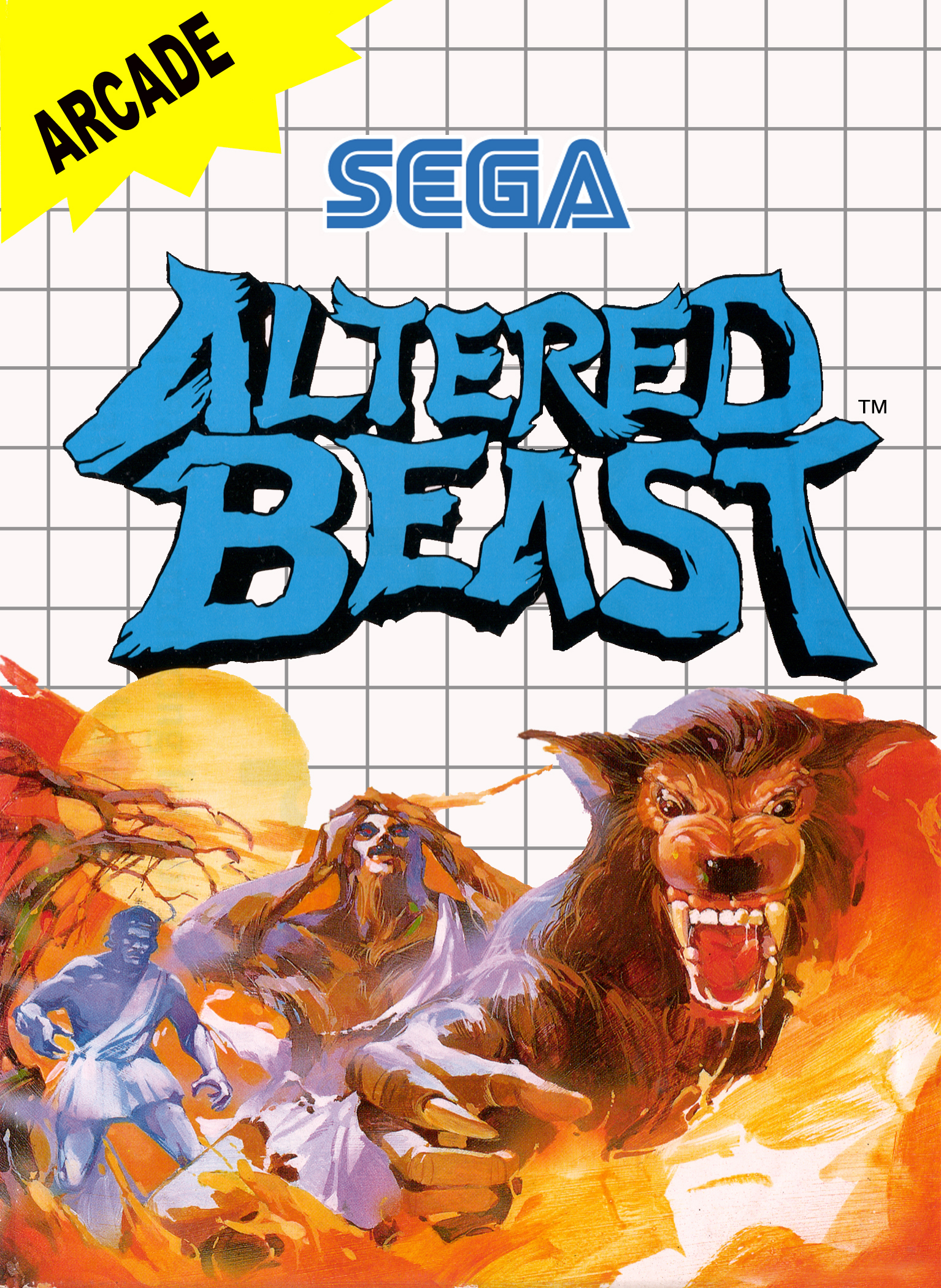 Box Art
