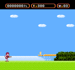 NES Screenshots