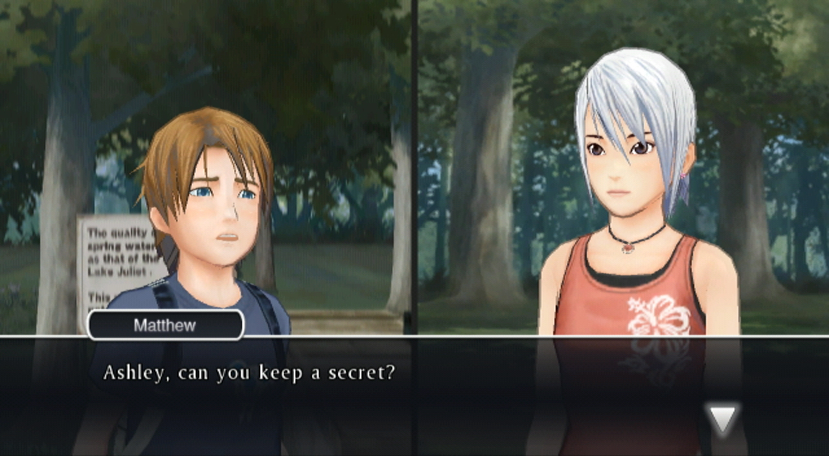 WII Screenshots