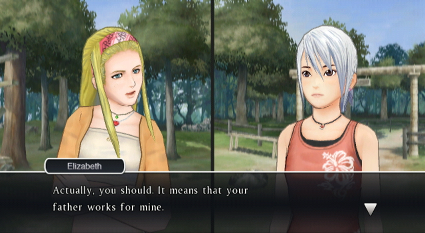 WII Screenshots