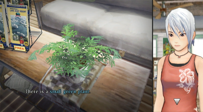WII Screenshots