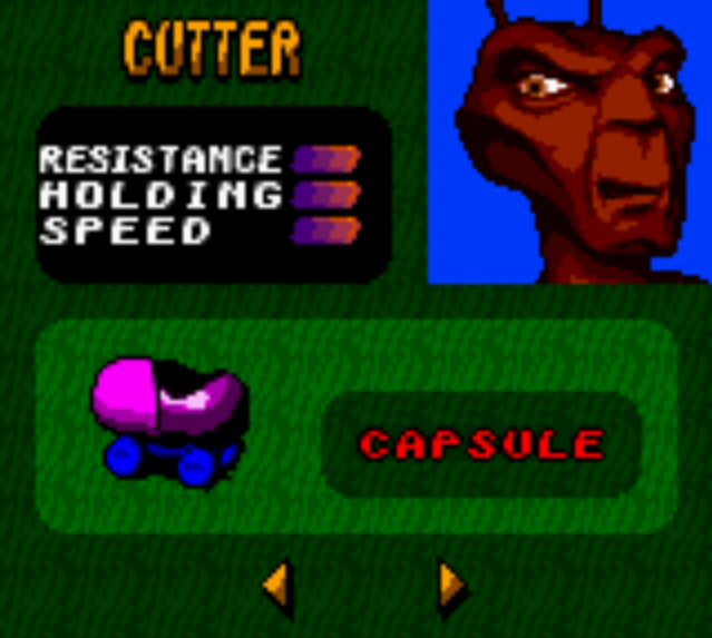 Antz Racing