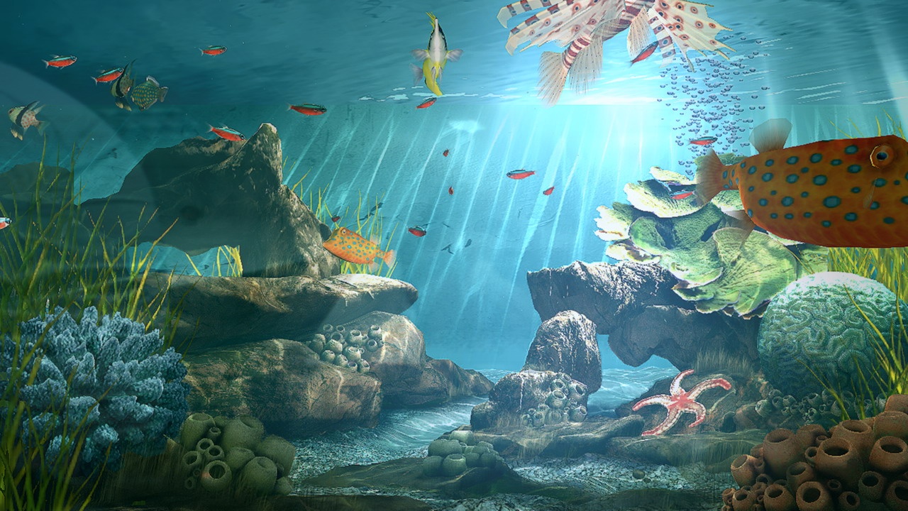 Aquatopia