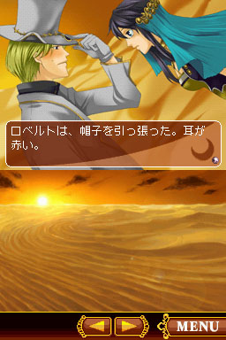 DS Screenshots