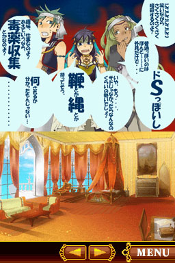 DS Screenshots