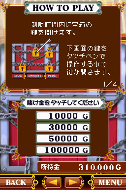 DS Screenshots