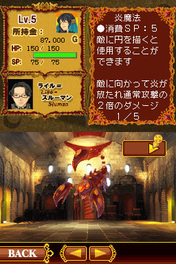 DS Screenshots