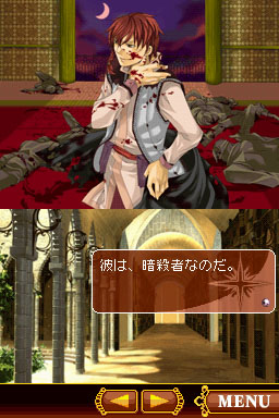 DS Screenshots