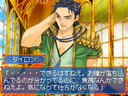 DS Screenshots
