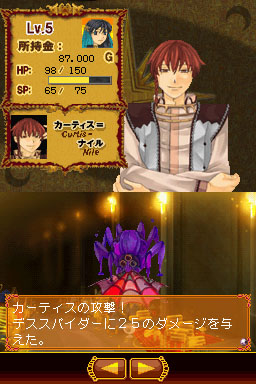 DS Screenshots