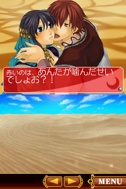 DS Screenshots