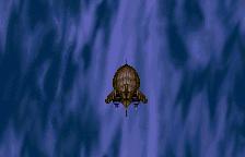 WSC Screenshots