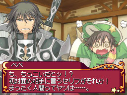 DS Screenshots