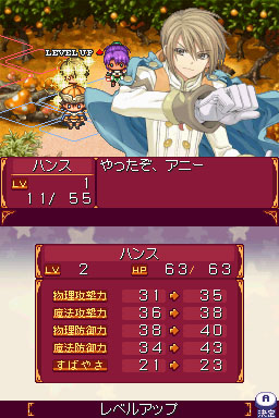 DS Screenshots