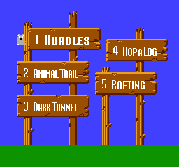 NES Screenshots