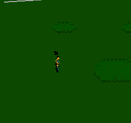 NES Screenshots