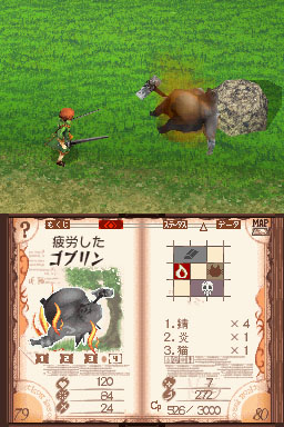 DS Screenshots