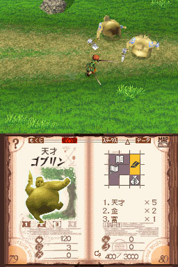 DS Screenshots
