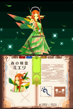 DS Screenshots