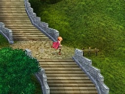 DS Screenshots