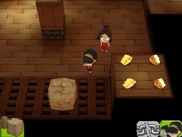 DS Screenshots