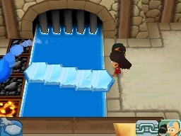 DS Screenshots