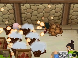 DS Screenshots